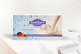 Gano Soap 2 x 100 GR